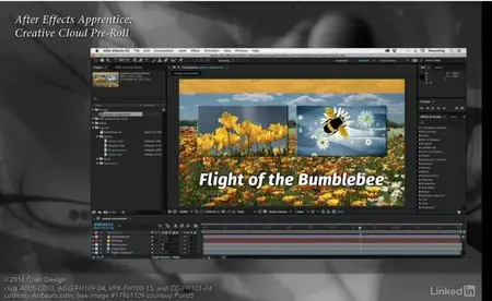 Lynda - After Effects Apprentice 01: CC Pre-Roll