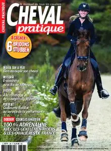 Cheval Pratique - janvier 2019