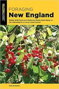 Foraging New England: Edible Wild Food and Medicinal Plants from Maine to the Adirondacks to Long Island Sound  Ed 3