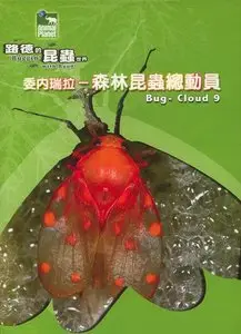 Buggin with Ruud: Bug Cloud 9 (2005)