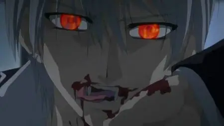 Vampire Knight ヴァンパイア騎士