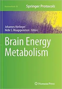 Brain Energy Metabolism (Repost)