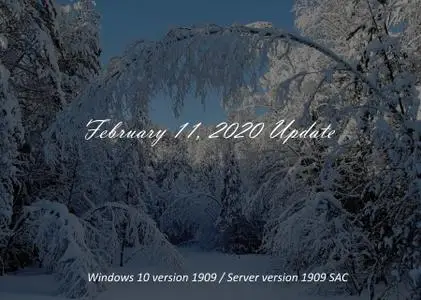 Windows 10 version 1909 / Server version 1909 SAC Build 18363.657