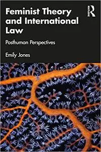 Feminist Theory and International Law: Posthuman Perspectives