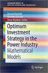 Optimum Investment Strategy in the Power Industry Mathematical Model 