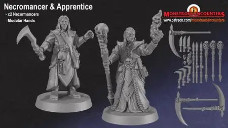 Necromancer and Apprentice Frostgrave