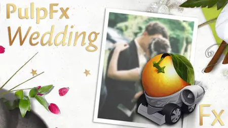 Aquafadas PulpFx Wedding 1.0.1