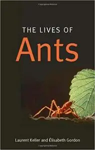 The Lives of Ants