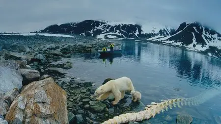 IMAX. To the Arctic / IMAX. Арктика (2012) 