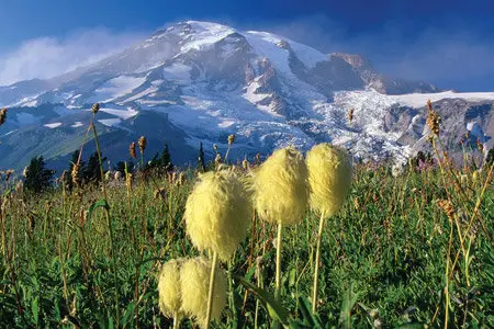 Wallpapers - Nature (part 23)