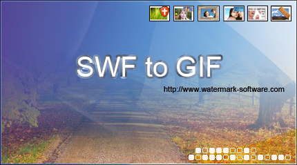 Watermark Software SWF to GIF 4.1