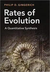 Rates of Evolution: A Quantitative Synthesis