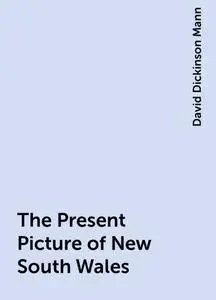 «The Present Picture of New South Wales» by David Dickinson Mann