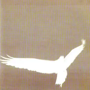 Bardo Pond - Albums Collection 1996-2012 [12CD]