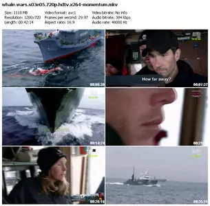 Animal Planet - Whale Wars S03E05: The Thrill Of The Chase (2010)
