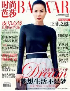 Harpers Bazaar 2010 Vol11 (Chinese) 