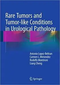 Rare Tumors and Tumor-like Conditions in Urological Pathology (Repost)