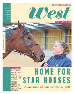 Western Morning News Devon – 29 October 2022