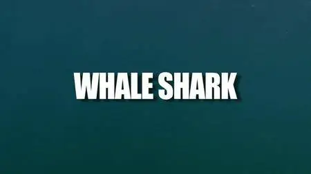 BBC Natural World - Whale Shark (2008)