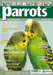 Parrots – December 2020