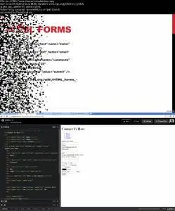 How to create HTML Forms (2016)