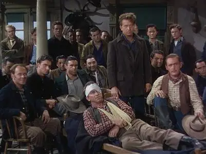 The Man from Colorado (1948)