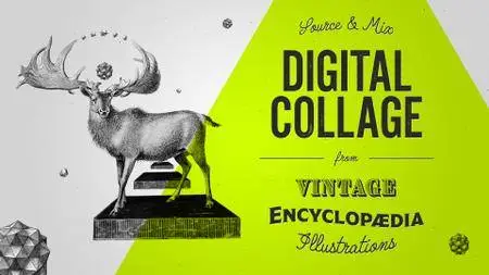 Source & Mix: Digital Collage from Vintage Encyclopaedia Illustrations