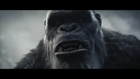 Godzilla x Kong: The New Empire (2024) [4K, Ultra HD]