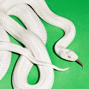Deftones - private music (2025)