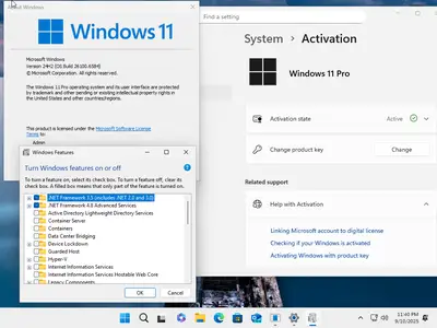 Windows 11 Pro 24H2 Build 26100.6584 (No TPM Required) Preactivated Multilingual September 2025