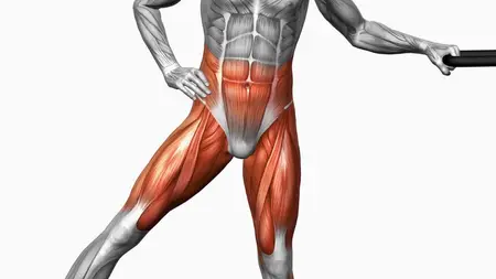 Strengthen These 5 Muscles for Better Healthy Life