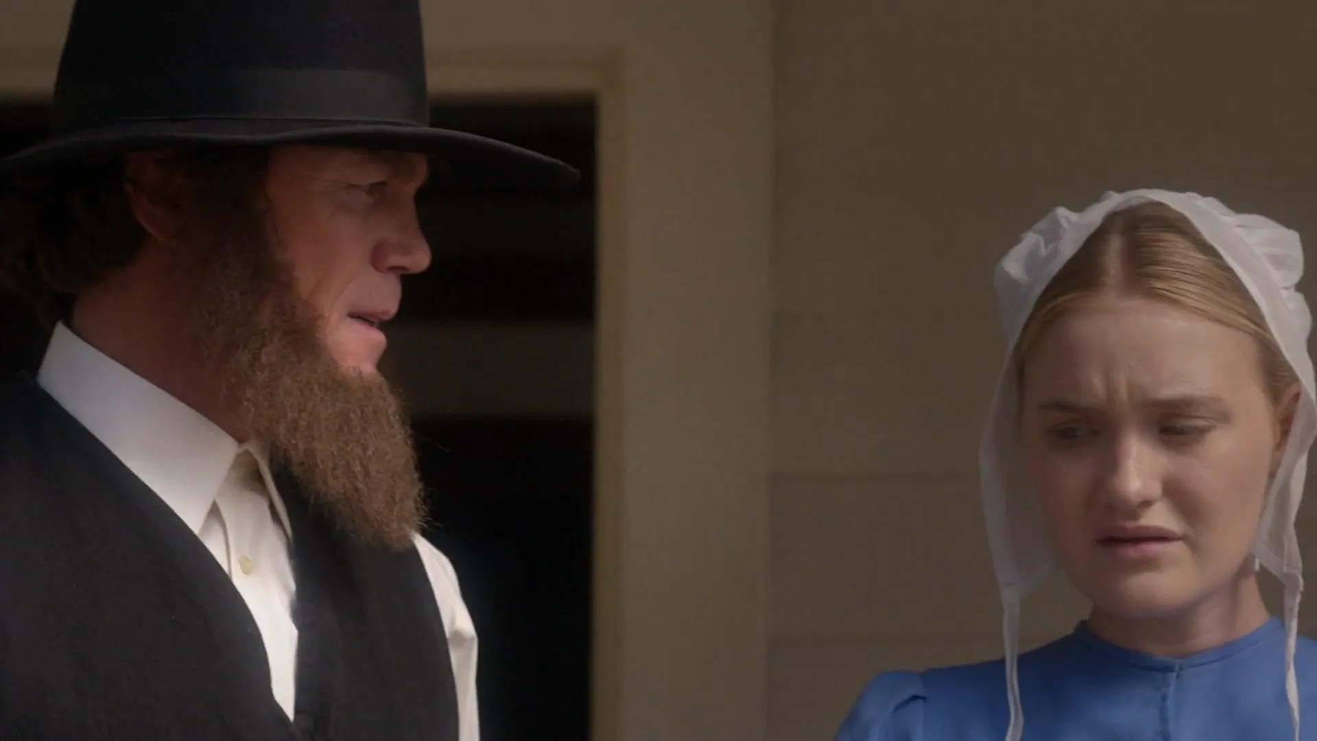 Expecting Amish (2014)