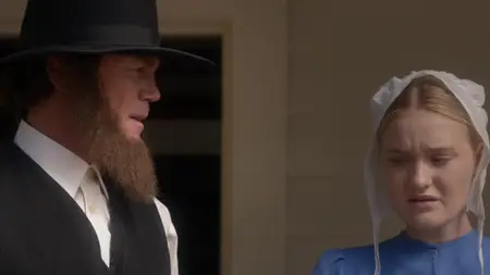Expecting Amish (2014)