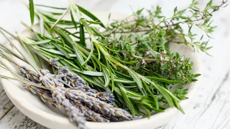 Herbalism: Antiviral Herbs and How To Use Them