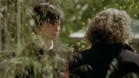 Happiness Runs (2010)