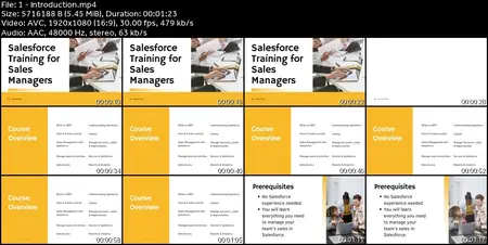 Salesforce CRM Training for Sales Managers