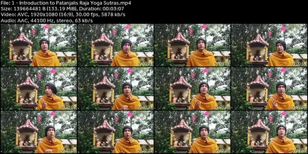 Patañjali's Raja Yoga Sutras: Samadhi Pada- The Highest Yoga