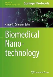 Biomedical Nanotechnology