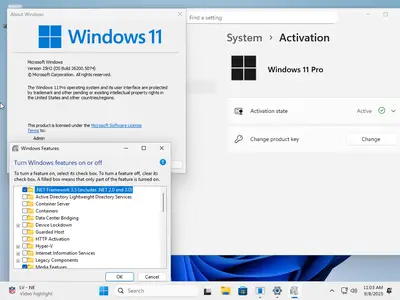 tiny11 Core 25H2 Build 226200.5074 Preactivated (Preview)