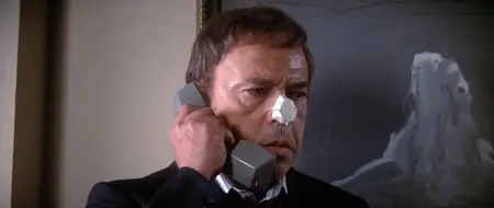 The Return of the Pink Panther (1975)
