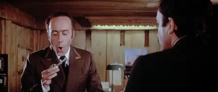 The Return of the Pink Panther (1975)