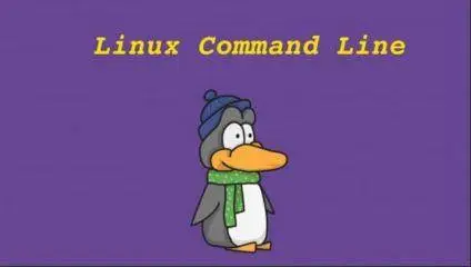 Linux Command Line Basics