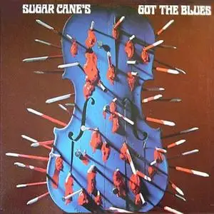 Don Sugarcane Harris - Got the Blues