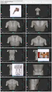 Digital-Tutors - Sculpting Human Torsos in ZBrush