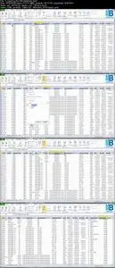 Excel, Fin Analysis, Valuation and Financial Modeling 2019