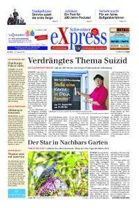 Schweriner Express - 25. August 2018