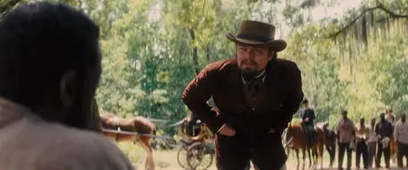 Django Unchained (2012)