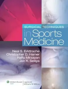 Surgical Techniques in Sports Medicine