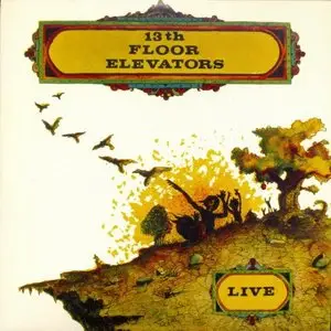 The Thirteenth Floor Elevators - The Albums Collection (2011) [4CD Box Set] RE-UP