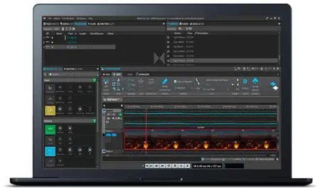 Steinberg WaveLab Pro v12.0.10 macOS